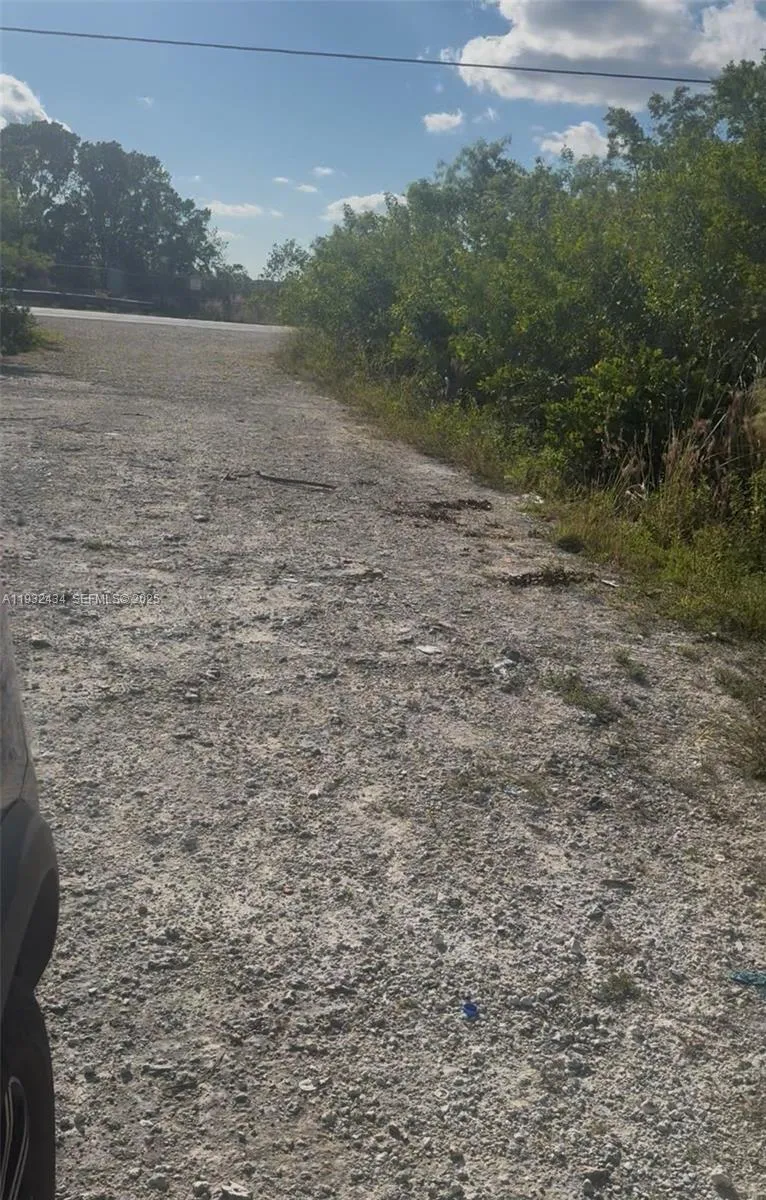 Unincorporated, Homestead, Florida 33035, Homestead, Florida 33035, ,Land,For Sale,Unincorporated, Homestead, Florida 33035,A11932434