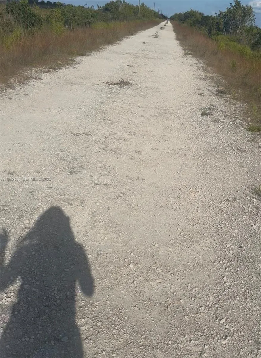 Unincorporated, Homestead, Florida 33035, Homestead, Florida 33035, ,Land,For Sale,Unincorporated, Homestead, Florida 33035,A11932434