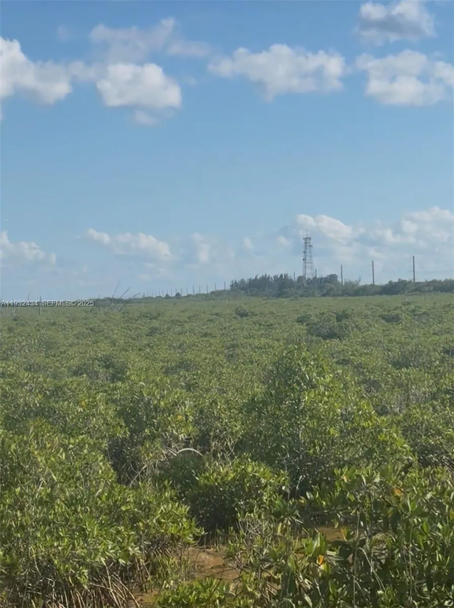 Unincorporated, Homestead, Florida 33035, Homestead, Florida 33035, ,Land,For Sale,Unincorporated, Homestead, Florida 33035,A11932434