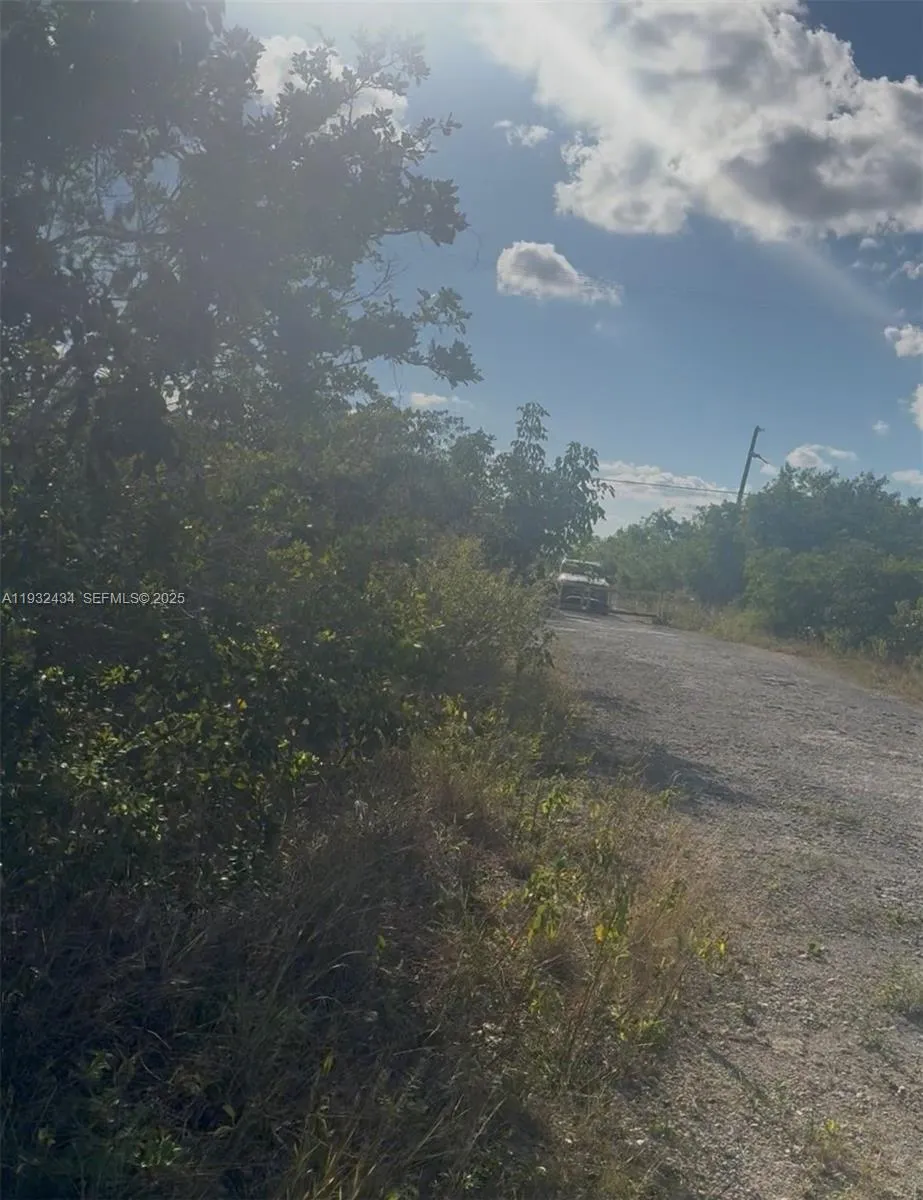Unincorporated, Homestead, Florida 33035, Homestead, Florida 33035, ,Land,For Sale,Unincorporated, Homestead, Florida 33035,A11932434