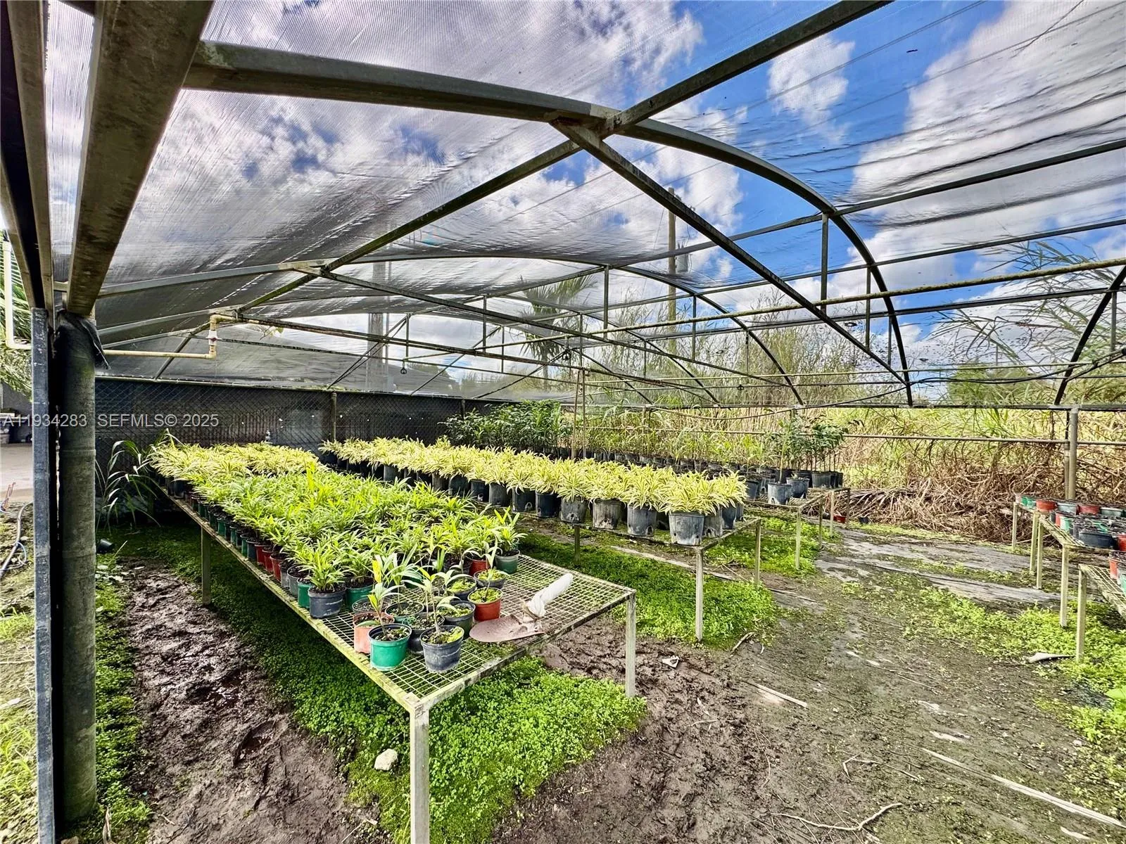 32800 Sw 202nd Ave, Homestead, Florida 33034, Homestead, Florida 33034, ,Business Opportunity,For Sale,32800 Sw 202nd Ave, Homestead, Florida 33034,A11934283