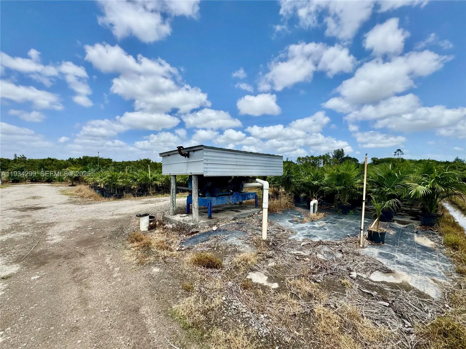 32800 Sw 202nd Ave, Homestead, Florida 33034, Homestead, Florida 33034, ,Land,For Sale,32800 Sw 202nd Ave, Homestead, Florida 33034,A11934299