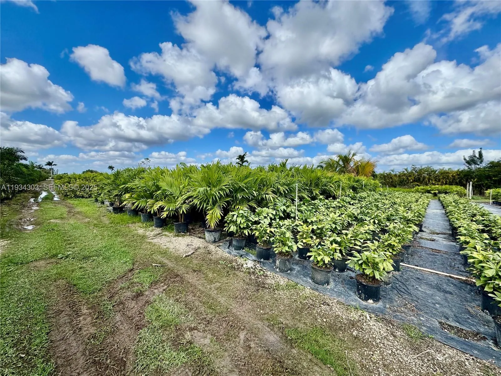 32800 Sw 202nd Ave, Homestead, Florida 33034, Homestead, Florida 33034, ,Commercial Sale,For Sale,32800 Sw 202nd Ave, Homestead, Florida 33034,A11934303