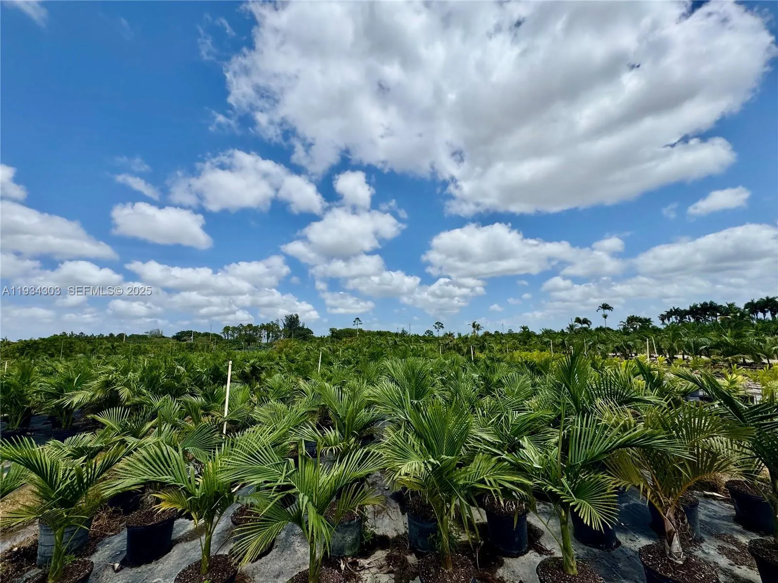 32800 Sw 202nd Ave, Homestead, Florida 33034, Homestead, Florida 33034, ,Commercial Sale,For Sale,32800 Sw 202nd Ave, Homestead, Florida 33034,A11934303