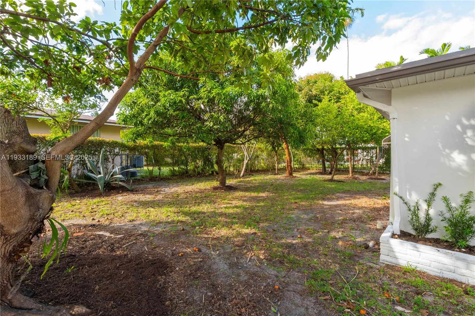 339 Falcon Ave, Miami Springs, Florida 33166, Miami Springs, Florida 33166, 3 Bedrooms Bedrooms, ,2 BathroomsBathrooms,Residential,For Sale,339 Falcon Ave, Miami Springs, Florida 33166,A11933189