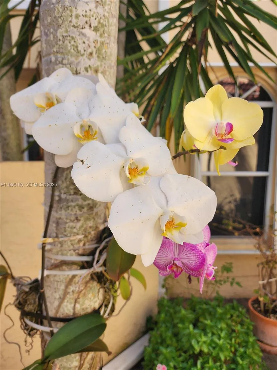 21028 Ne 34th Ct 21028, Aventura, Florida 33180, Aventura, Florida 33180, 2 Bedrooms Bedrooms, ,2 BathroomsBathrooms,Residential Lease,For Rent,21028 Ne 34th Ct 21028, Aventura, Florida 33180,A11935160