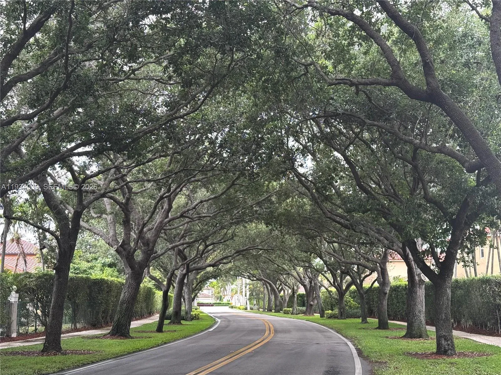 Mature tree lined streets