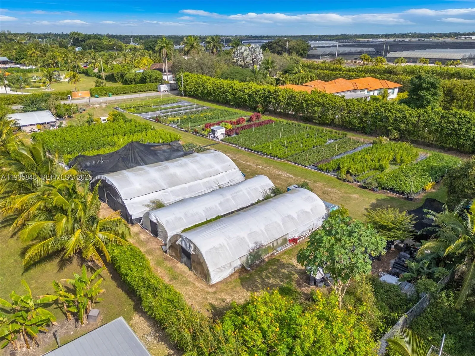 194xx Sw 204 St, Homestead, Florida 33187, Homestead, Florida 33187, ,Land,For Sale,194xx Sw 204 St, Homestead, Florida 33187,A11935848