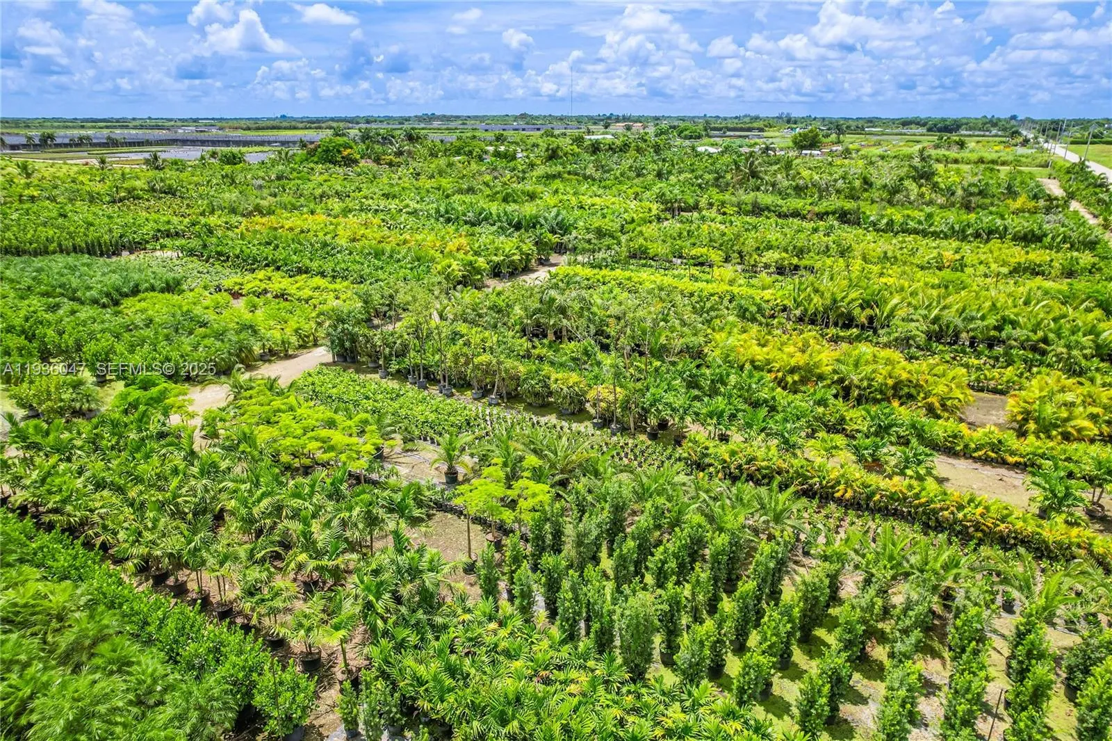  BLOCK 2 THE CENTER BLOCK NO BLDGS... ASST CONTAINERS