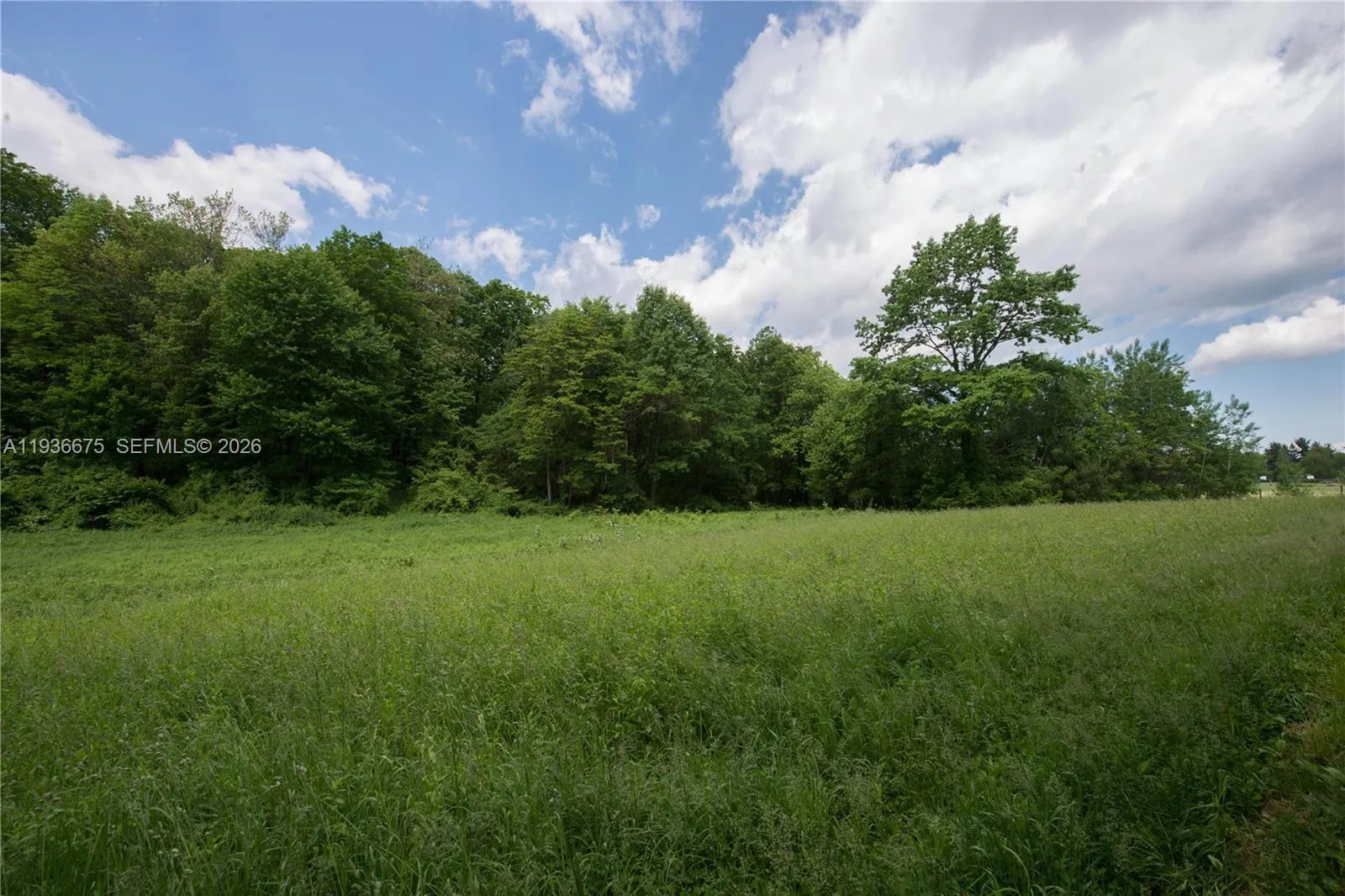 159 Sw 29 St, Miami, Florida 33185, Miami, Florida 33185, ,Land,For Sale,159 Sw 29 St, Miami, Florida 33185,A11936675