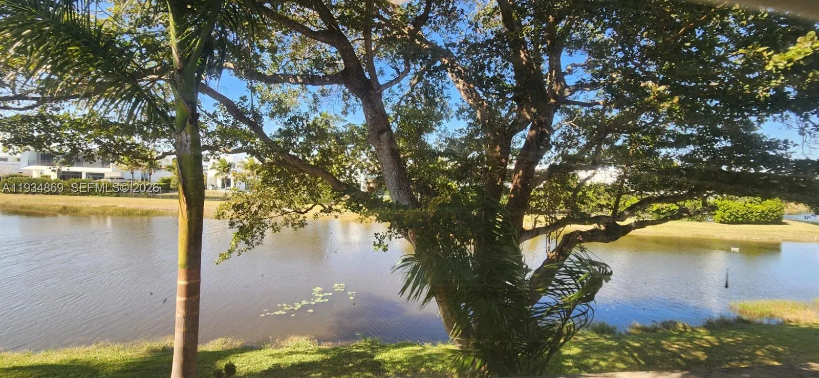 Master bedroom view