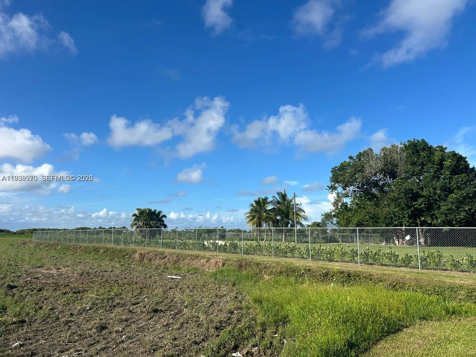 10305 Sw 248th St, Homestead, Florida 33032, Homestead, Florida 33032, ,Land,For Sale,10305 Sw 248th St, Homestead, Florida 33032,A11938970