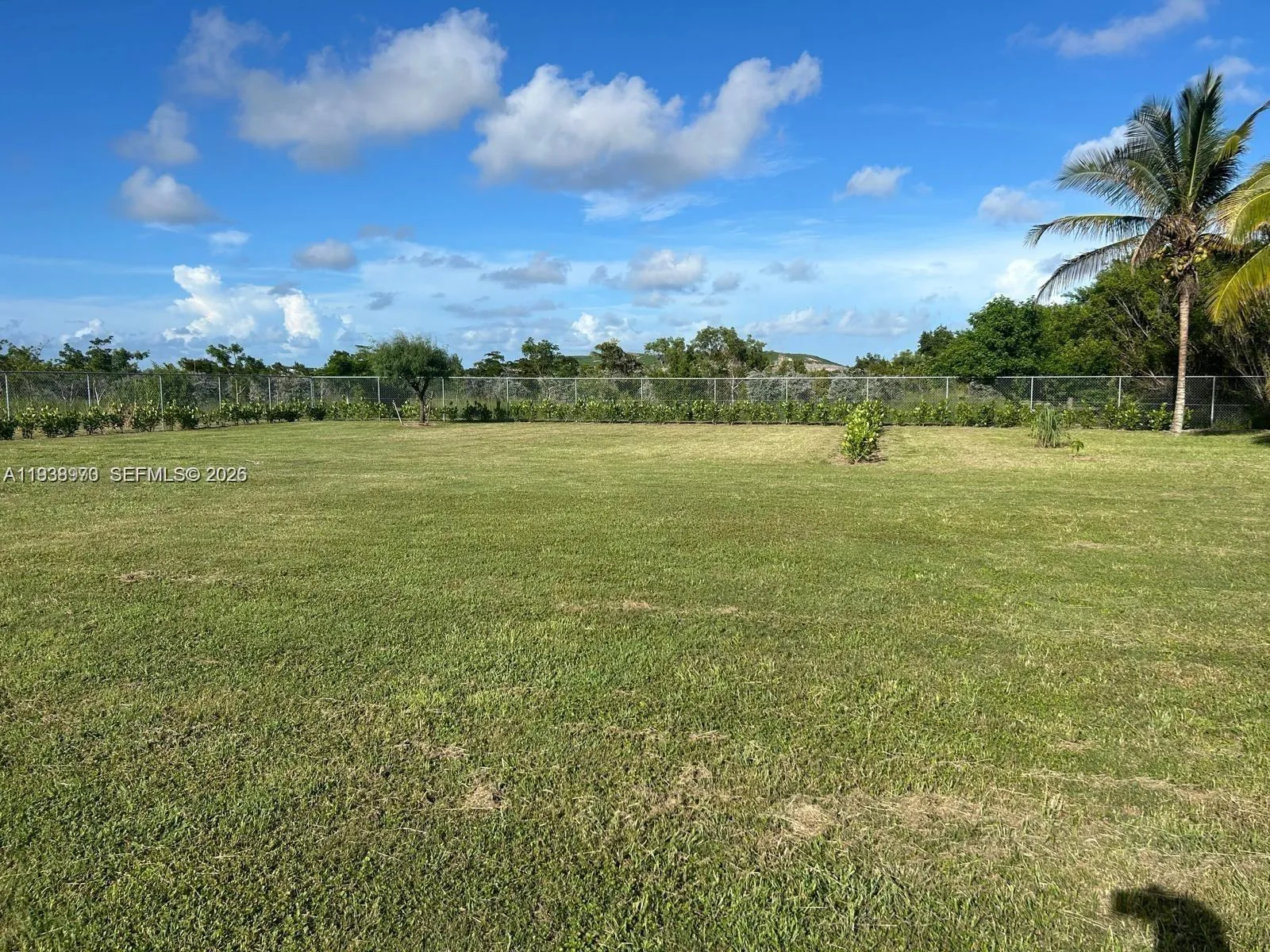 10305 Sw 248th St, Homestead, Florida 33032, Homestead, Florida 33032, ,Land,For Sale,10305 Sw 248th St, Homestead, Florida 33032,A11938970