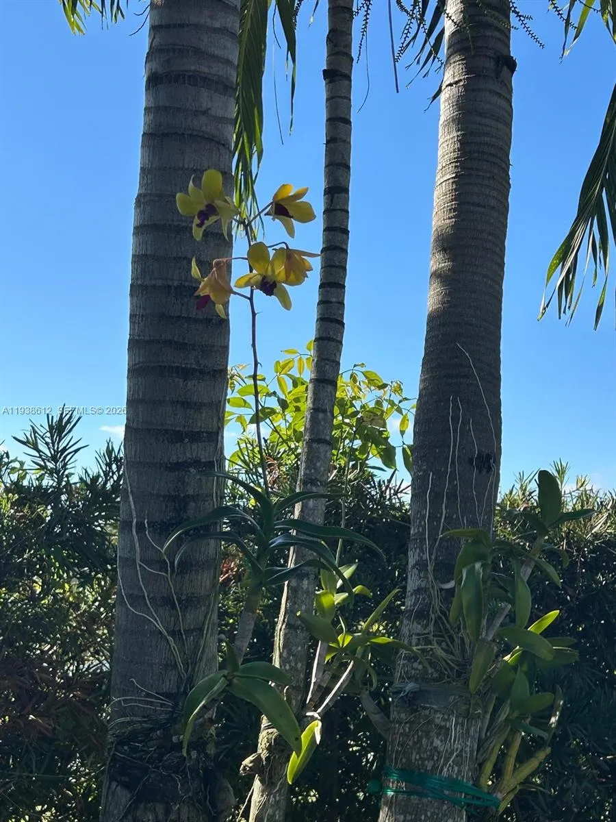 20501 Nw 30th Ave, Miami Gardens, Florida 33056, Miami Gardens, Florida 33056, 4 Bedrooms Bedrooms, ,2 BathroomsBathrooms,Residential,For Sale,20501 Nw 30th Ave, Miami Gardens, Florida 33056,A11938612