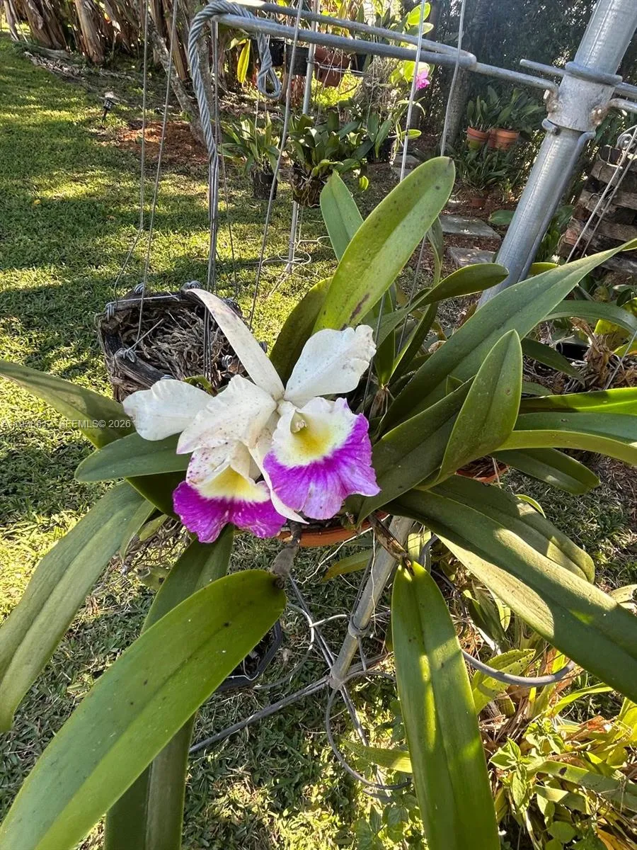 20501 Nw 30th Ave, Miami Gardens, Florida 33056, Miami Gardens, Florida 33056, 4 Bedrooms Bedrooms, ,2 BathroomsBathrooms,Residential,For Sale,20501 Nw 30th Ave, Miami Gardens, Florida 33056,A11938612