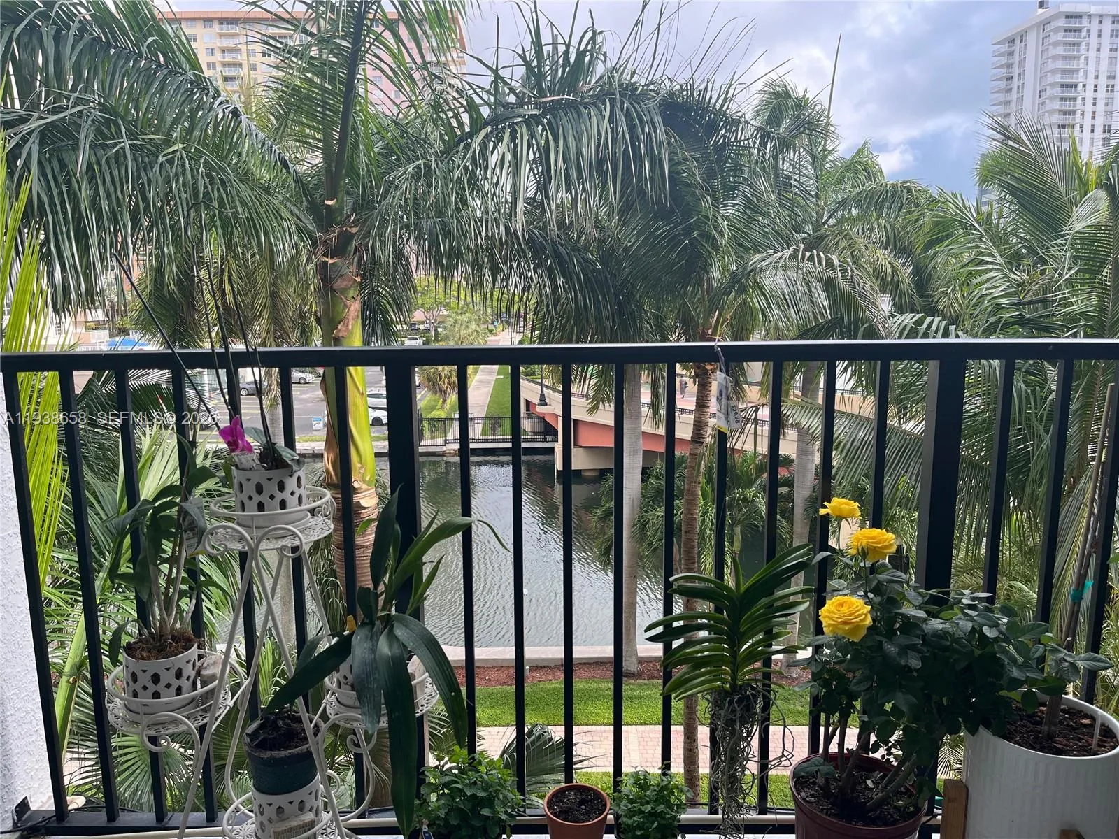 17150 N Bay Rd 2412, Sunny Isles Beach, Florida 33, Sunny Isles Beach, Florida 33160, 2 Bedrooms Bedrooms, ,2 BathroomsBathrooms,Residential Lease,For Rent,17150 N Bay Rd 2412, Sunny Isles Beach, Florida 33,A11938658