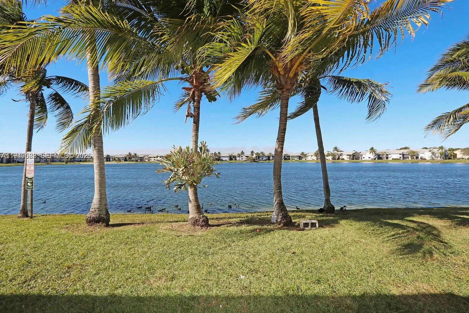 1400 Jefferson Dr 1400g, Homestead, Florida 33034, Homestead, Florida 33034, 2 Bedrooms Bedrooms, ,2 BathroomsBathrooms,Residential,For Sale,1400 Jefferson Dr 1400g, Homestead, Florida 33034,A11940688