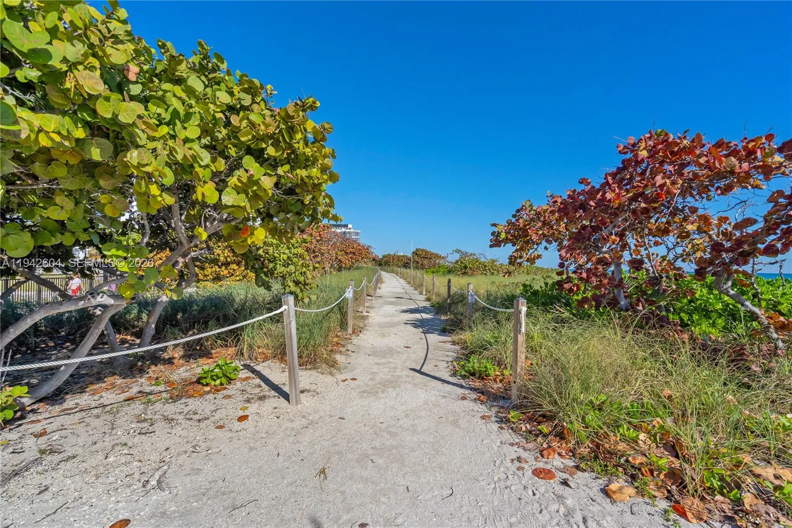 9273 Collins Ave 503, Surfside, Florida 33154, Surfside, Florida 33154, 2 Bedrooms Bedrooms, ,2 BathroomsBathrooms,Residential,For Sale,9273 Collins Ave 503, Surfside, Florida 33154,A11942604