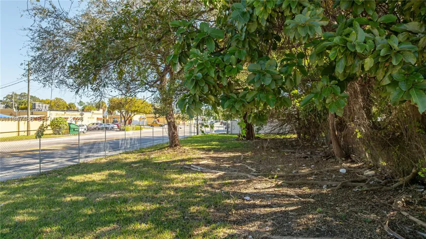 Yard