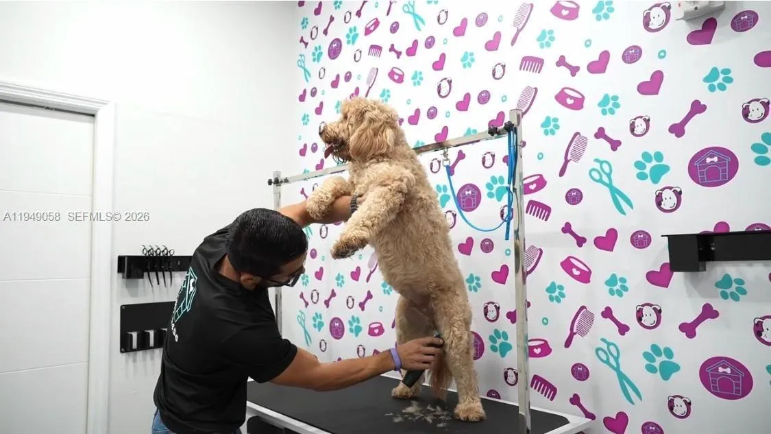 8347 Nw 36th St, Doral, Florida 33166, Doral, Florida 33166, ,Business Opportunity,For Sale,8347 Nw 36th St, Doral, Florida 33166,A11949058