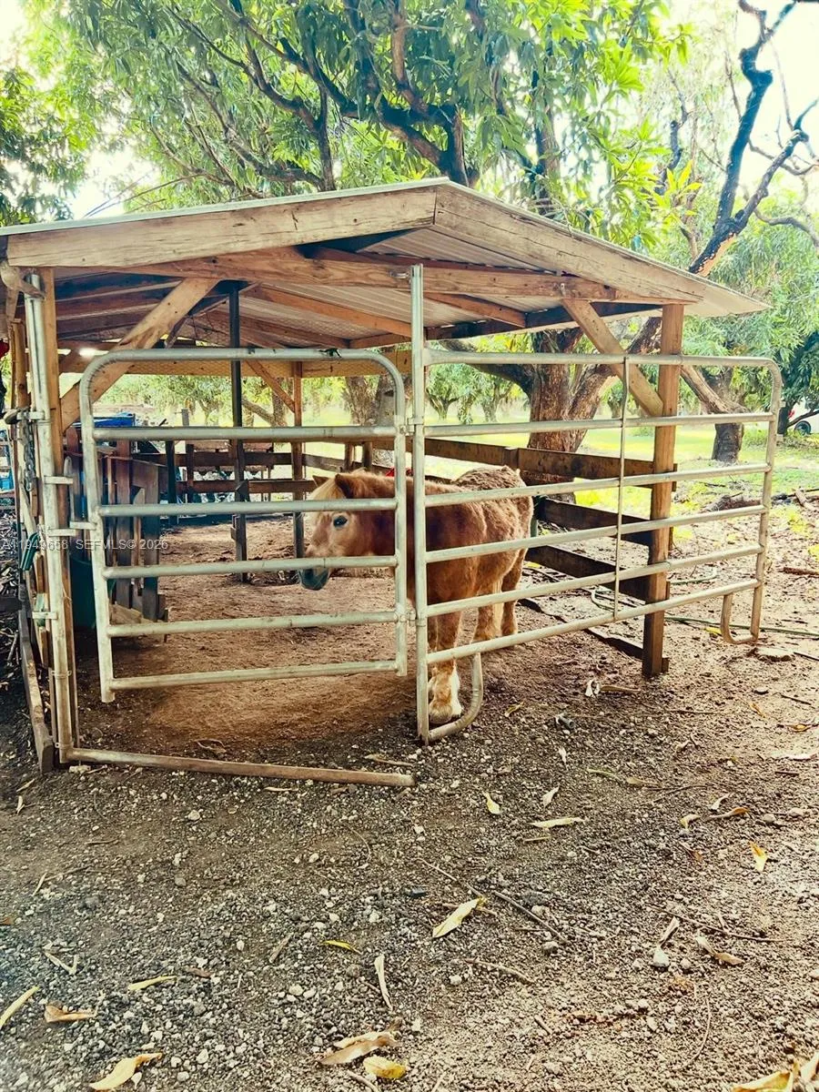 Miami, Florida 33177, ,Business Opportunity,For Sale,A11949658