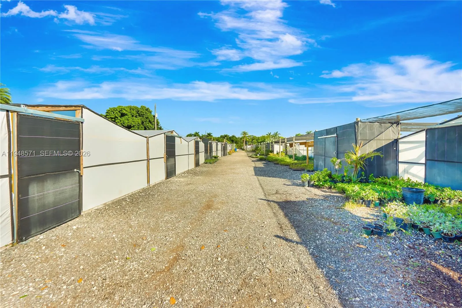 20455 Sw 154th Ave, Miami, Florida 33187, Miami, Florida 33187, ,Land,For Sale,20455 Sw 154th Ave, Miami, Florida 33187,A11948571