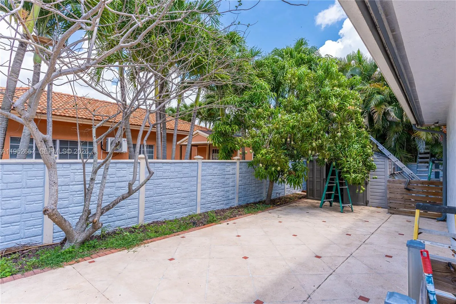 Fruit trees , mango and ciruela.