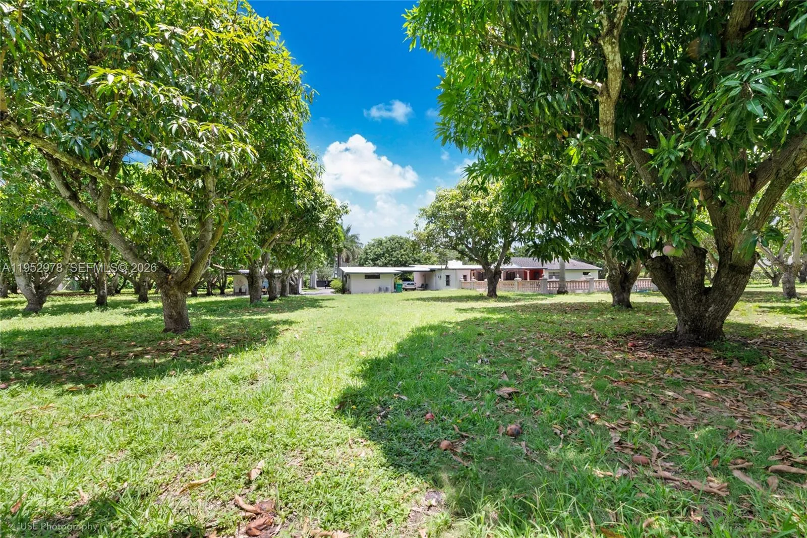 8000 Sw 184th St, Cutler Bay, Florida 33157, Cutler Bay, Florida 33157, ,Land,For Sale,8000 Sw 184th St, Cutler Bay, Florida 33157,A11952978