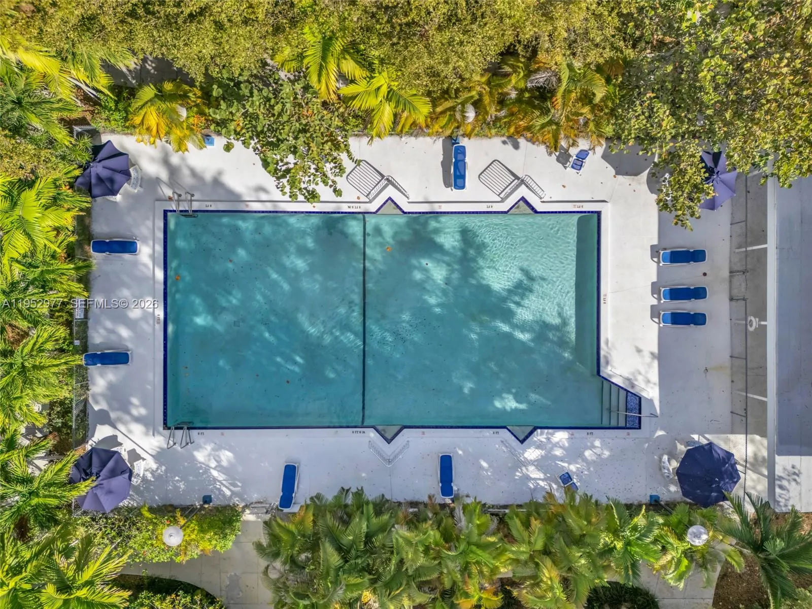 7840 Sw 55th Ave 22a, Miami, Florida 33143, Miami, Florida 33143, 2 Bedrooms Bedrooms, ,1 BathroomBathrooms,Residential Lease,For Rent,7840 Sw 55th Ave 22a, Miami, Florida 33143,A11952977