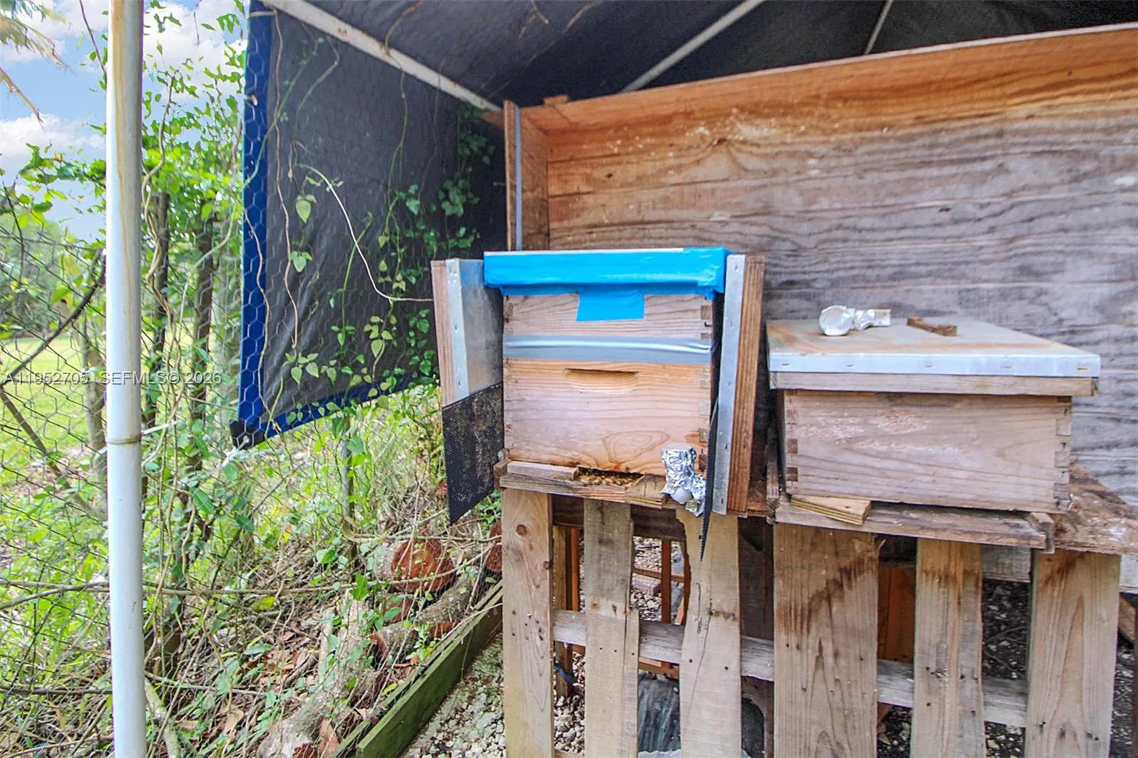Bee Keeping