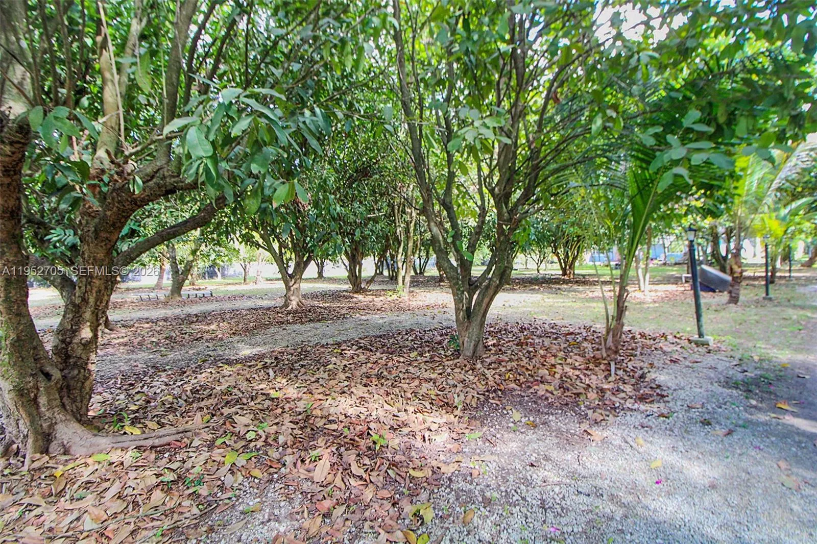 37225 Sw 214th Ave, Homestead, Florida 33034, Homestead, Florida 33034, 3 Bedrooms Bedrooms, ,2 BathroomsBathrooms,Residential,For Sale,37225 Sw 214th Ave, Homestead, Florida 33034,A11952705