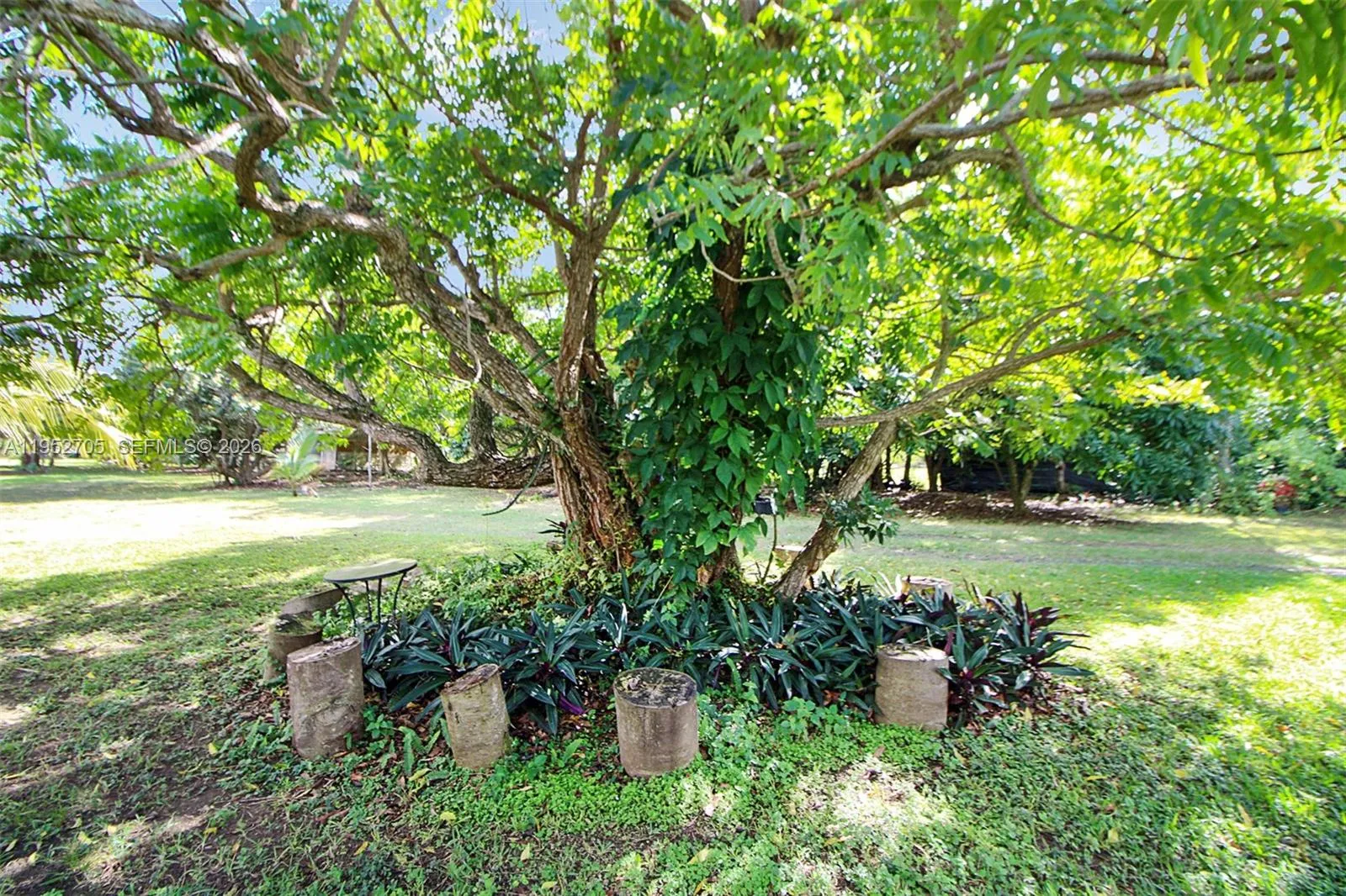37225 Sw 214th Ave, Homestead, Florida 33034, Homestead, Florida 33034, 3 Bedrooms Bedrooms, ,2 BathroomsBathrooms,Residential,For Sale,37225 Sw 214th Ave, Homestead, Florida 33034,A11952705