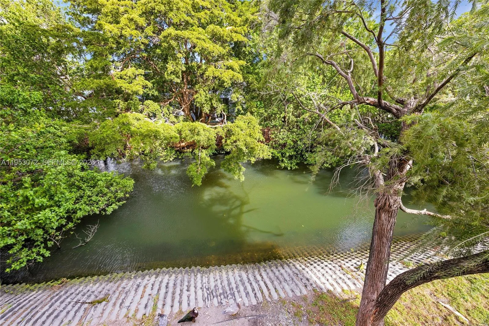 12590 Ne 16th Ave 208, North Miami, Florida 33161, North Miami, Florida 33161, 1 Bedroom Bedrooms, ,1 BathroomBathrooms,Residential,For Sale,12590 Ne 16th Ave 208, North Miami, Florida 33161,A11953072