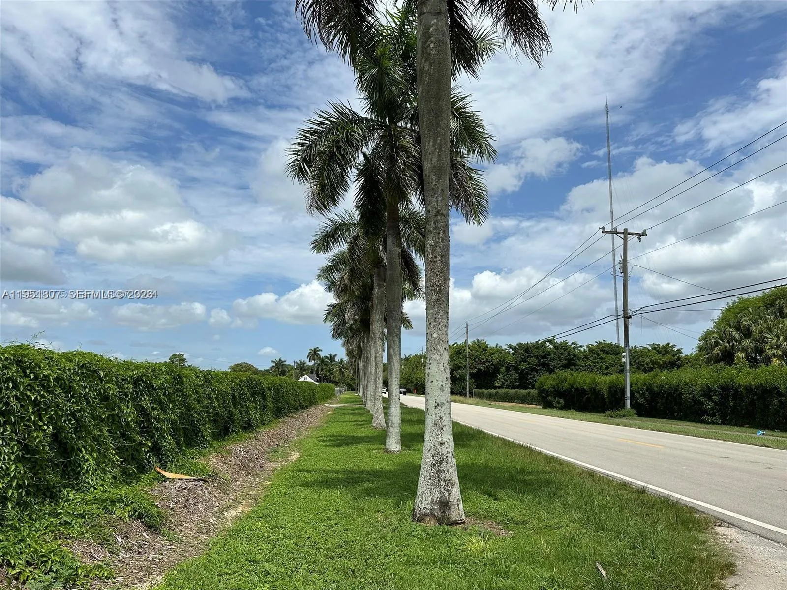1640x Sw 248 Street, Homestead, Florida 33031, Homestead, Florida 33031, ,Land,For Sale,1640x Sw 248 Street, Homestead, Florida 33031,A11951807