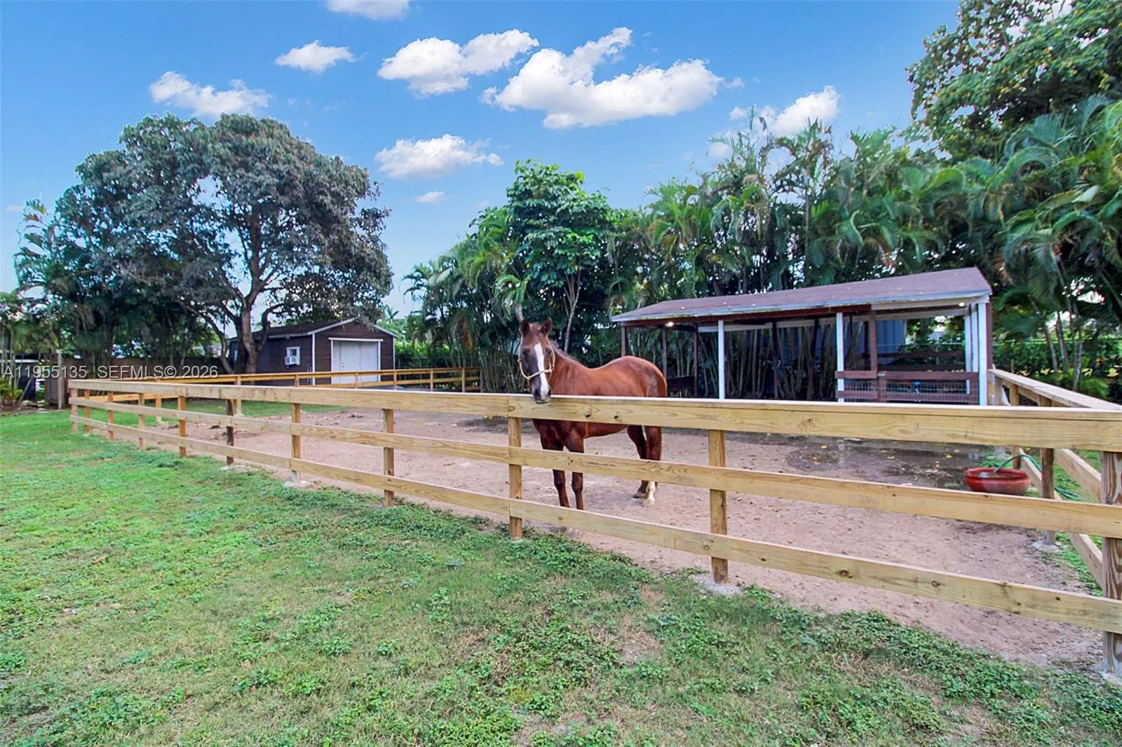 18280 Sw 202nd St, Miami, Florida 33187, Miami, Florida 33187, 4 Bedrooms Bedrooms, 2 Rooms Rooms,3 BathroomsBathrooms,Residential,For Sale,18280 Sw 202nd St, Miami, Florida 33187,A11955135