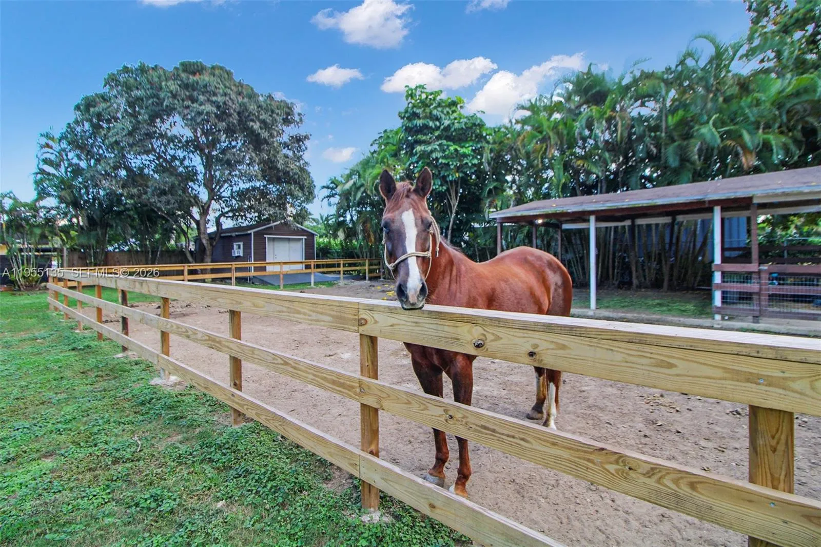 18280 Sw 202nd St, Miami, Florida 33187, Miami, Florida 33187, 4 Bedrooms Bedrooms, 2 Rooms Rooms,3 BathroomsBathrooms,Residential,For Sale,18280 Sw 202nd St, Miami, Florida 33187,A11955135