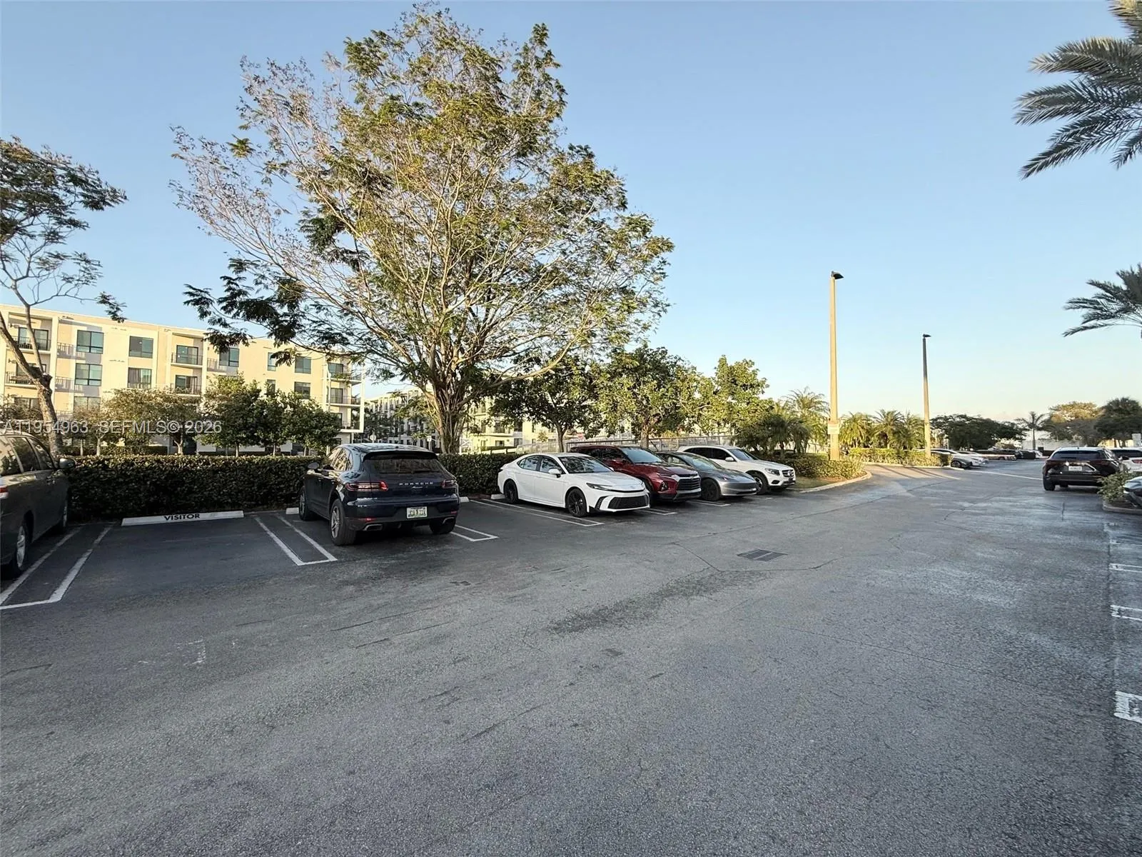 8200 Nw 41st St 312, Doral, Florida 33166, Doral, Florida 33166, ,Commercial Lease,For Rent,8200 Nw 41st St 312, Doral, Florida 33166,A11954963