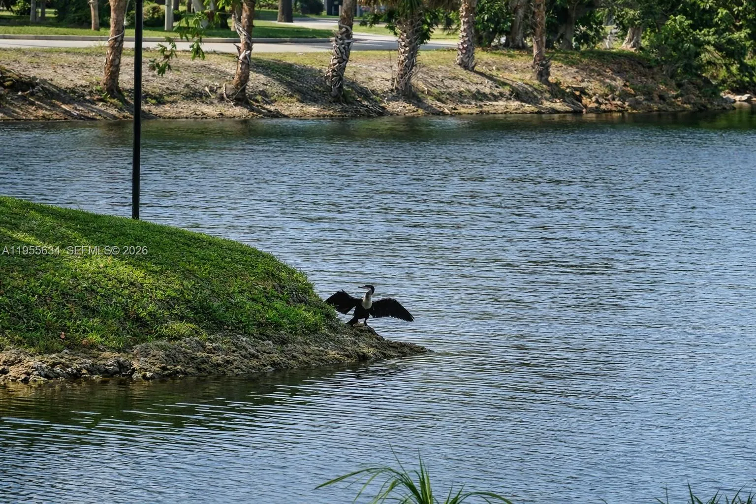 5700 White Hickory Cir, Tamarac, Florida 33319, Tamarac, Florida 33319, 3 Bedrooms Bedrooms, ,2 BathroomsBathrooms,Residential,For Sale,5700 White Hickory Cir, Tamarac, Florida 33319,A11955634