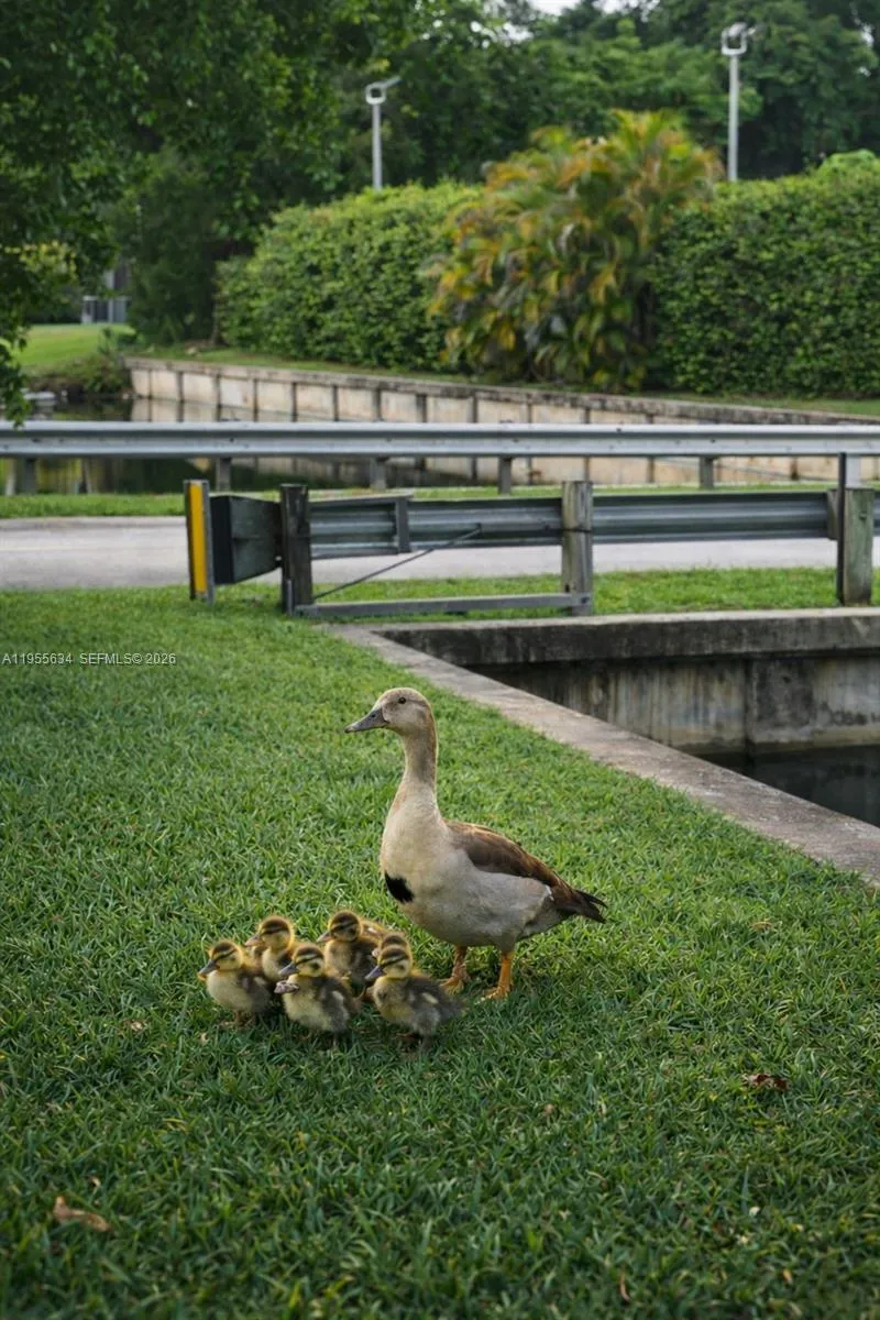 5700 White Hickory Cir, Tamarac, Florida 33319, Tamarac, Florida 33319, 3 Bedrooms Bedrooms, ,2 BathroomsBathrooms,Residential,For Sale,5700 White Hickory Cir, Tamarac, Florida 33319,A11955634