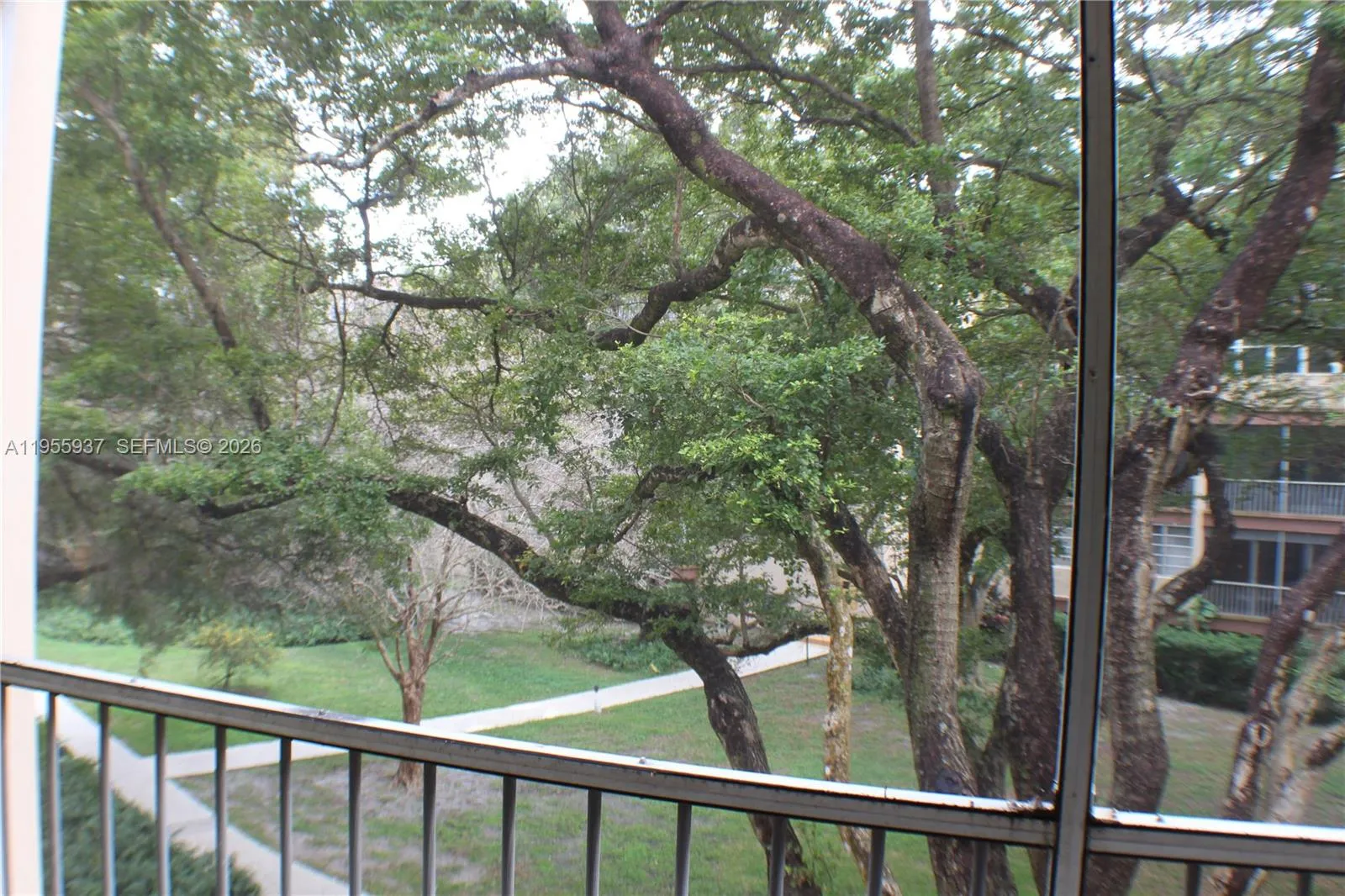 mature trees