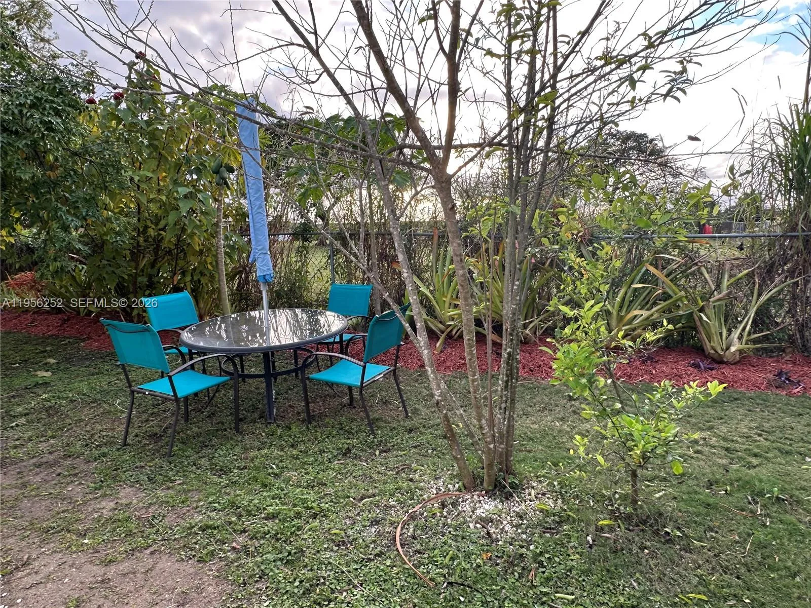 18481 Sw 208th St 0, Miami, Florida 33187, Miami, Florida 33187, ,1 BathroomBathrooms,Residential Lease,For Rent,18481 Sw 208th St 0, Miami, Florida 33187,A11956252