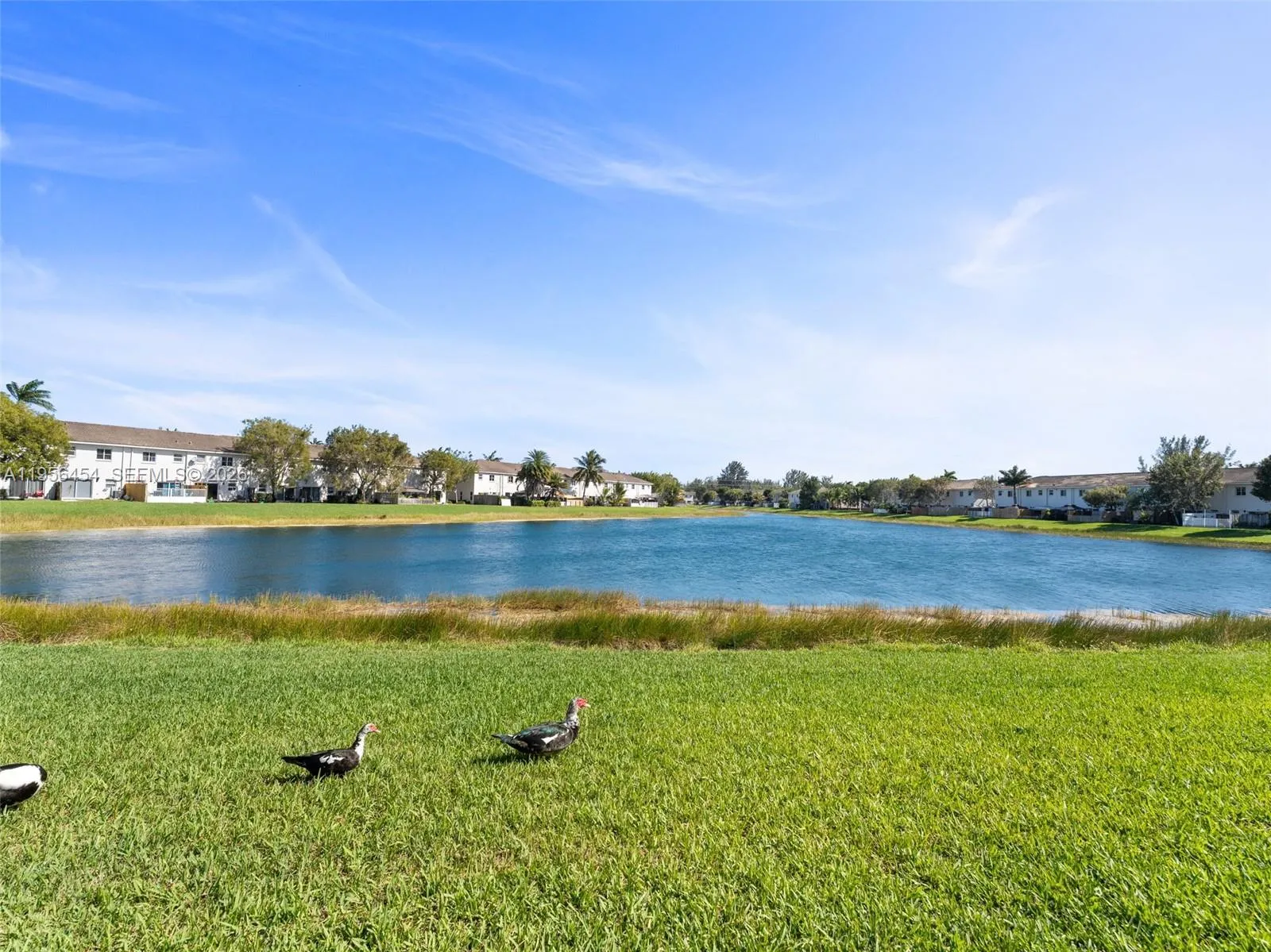 2987 Se 15th Ave, Homestead, Florida 33035, Homestead, Florida 33035, 2 Bedrooms Bedrooms, ,2 BathroomsBathrooms,Residential,For Sale,2987 Se 15th Ave, Homestead, Florida 33035,A11956454