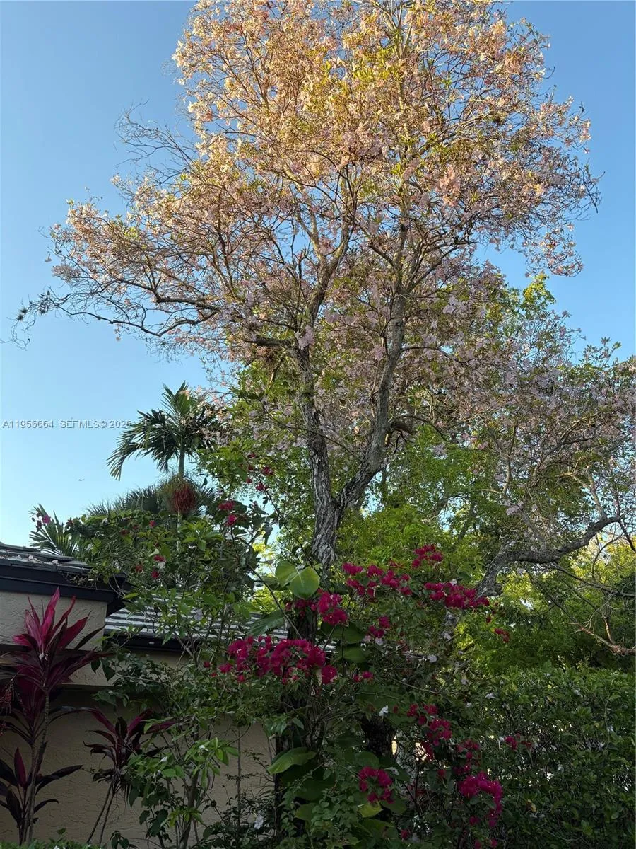 9360 S Chelsea Dr S, Plantation, Florida 33324, Plantation, Florida 33324, 3 Bedrooms Bedrooms, ,2 BathroomsBathrooms,Residential,For Sale,9360 S Chelsea Dr S, Plantation, Florida 33324,A11956664