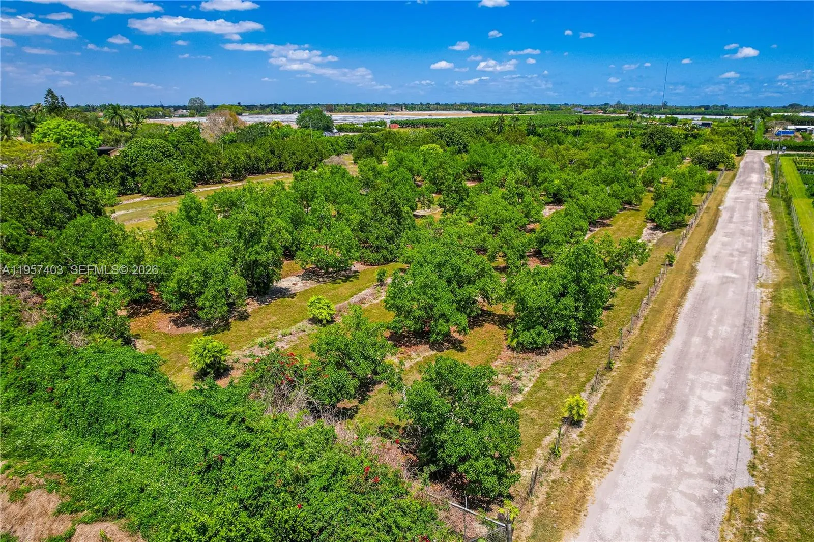 254xx Sw 217ave, Homestead, Florida 33031, Homestead, Florida 33031, ,Land,For Sale,254xx Sw 217ave, Homestead, Florida 33031,A11957403