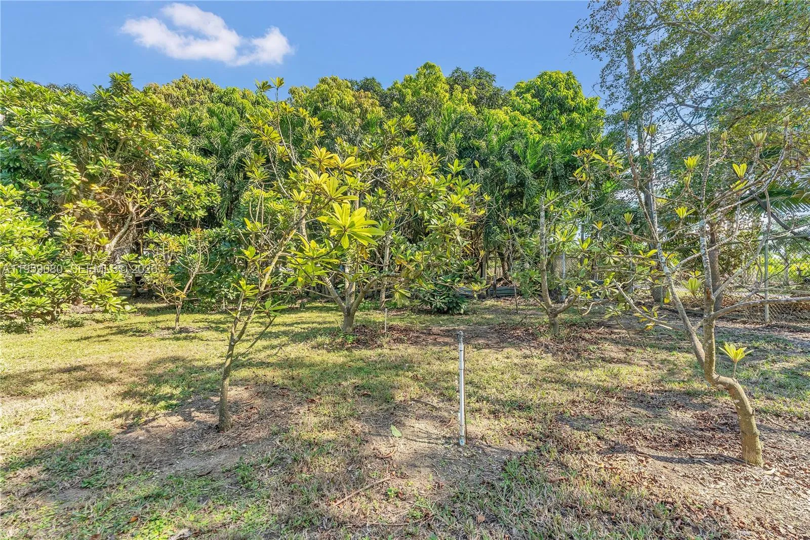 19225 Sw 186th St, Miami, Florida 33187, Miami, Florida 33187, 4 Bedrooms Bedrooms, ,3 BathroomsBathrooms,Residential,For Sale,19225 Sw 186th St, Miami, Florida 33187,A11959080