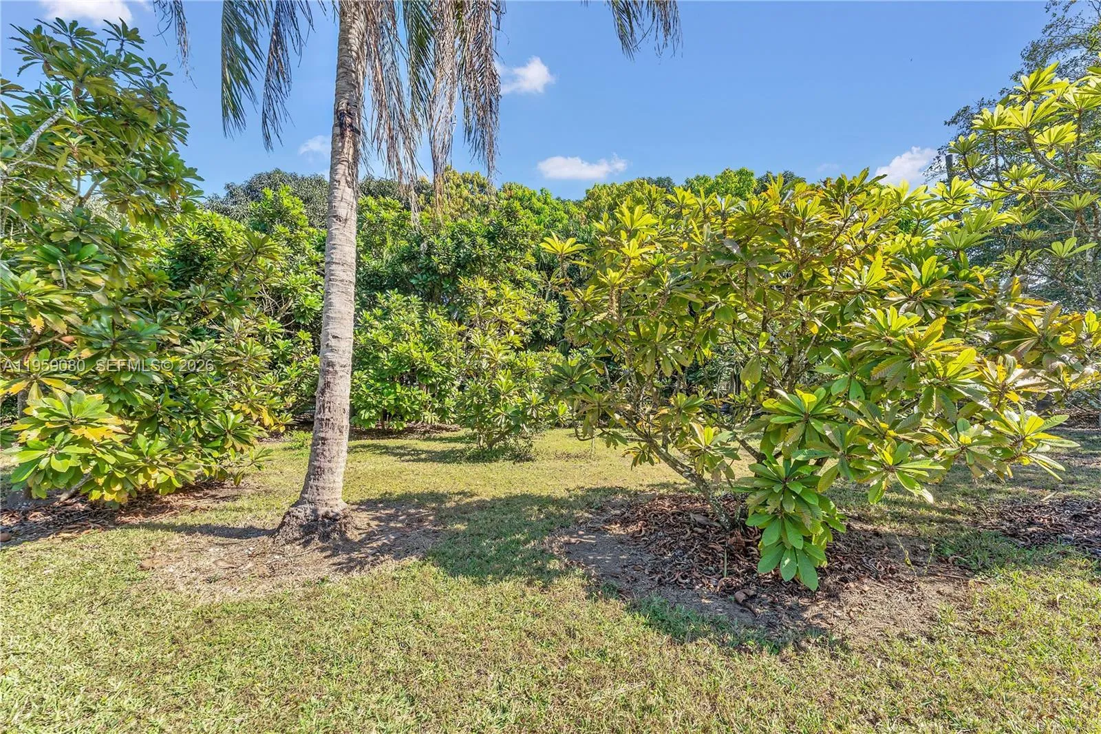 19225 Sw 186th St, Miami, Florida 33187, Miami, Florida 33187, 4 Bedrooms Bedrooms, ,3 BathroomsBathrooms,Residential,For Sale,19225 Sw 186th St, Miami, Florida 33187,A11959080