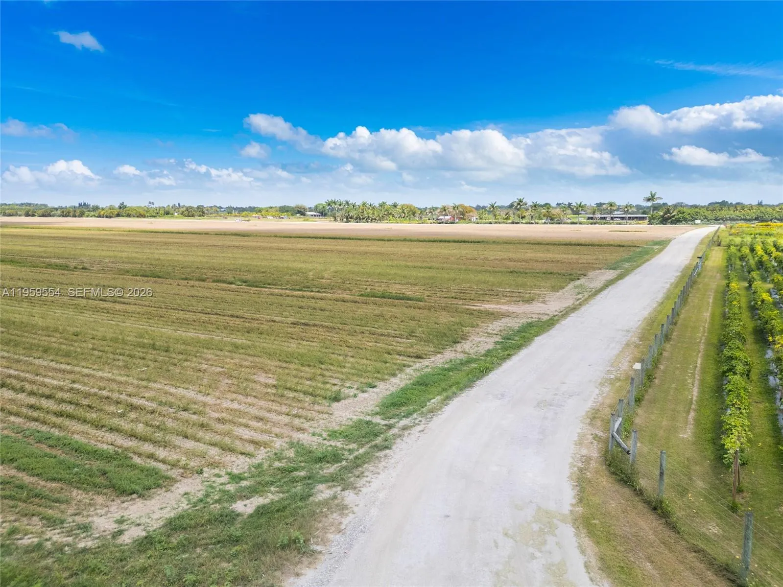 224xx Sw 217 Ave, Miami, Florida 33170, Miami, Florida 33170, ,Land,For Sale,224xx Sw 217 Ave, Miami, Florida 33170,A11959554