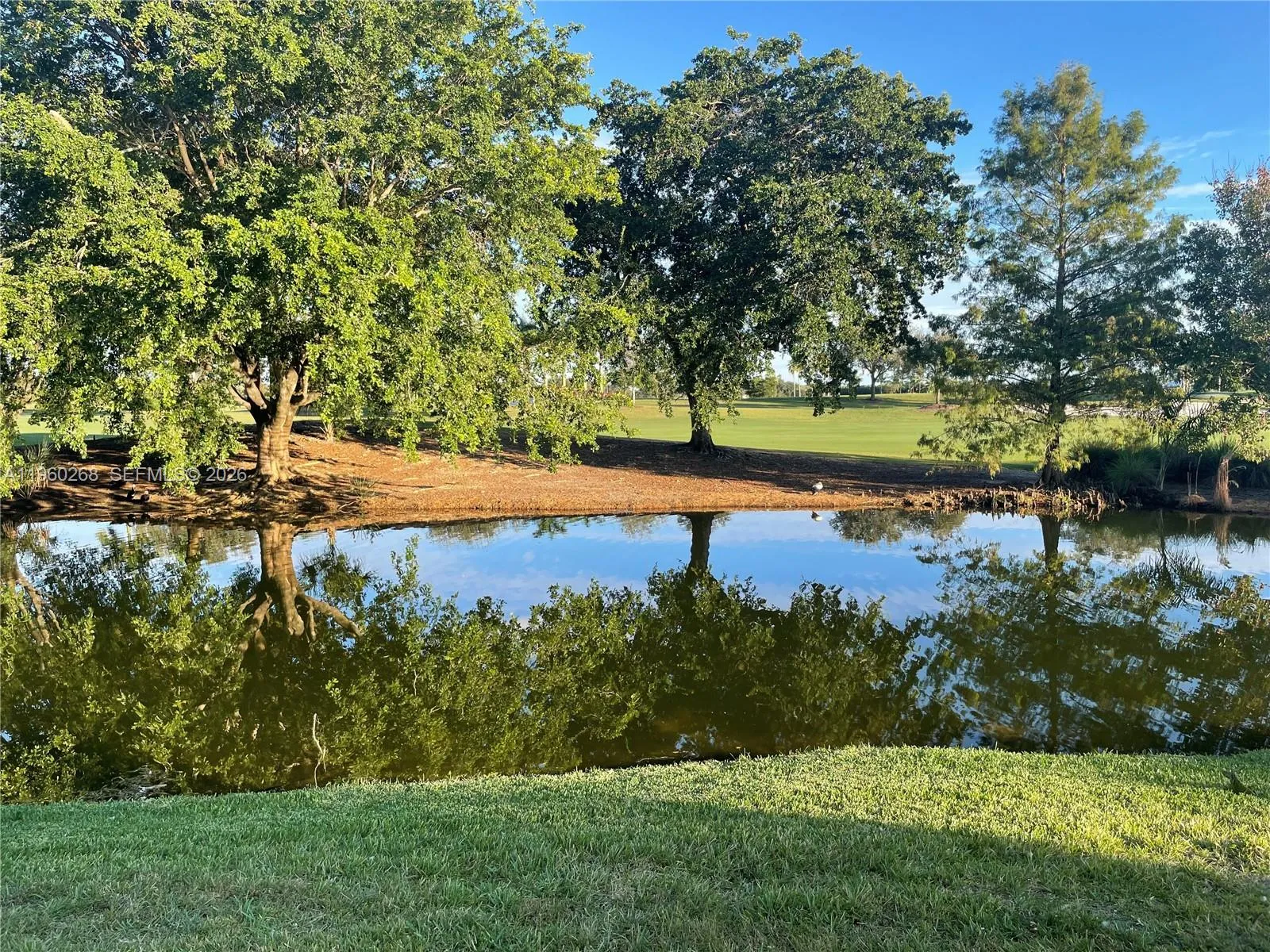565 Vista Isles Dr 2024, Sunrise, Florida 33325, Sunrise, Florida 33325, 1 Bedroom Bedrooms, ,1 BathroomBathrooms,Residential Lease,For Rent,565 Vista Isles Dr 2024, Sunrise, Florida 33325,A11960268 565 Vista Isles Dr 2024, Sunrise, Florida 33325, Sunrise, Florida 33325, 1 Bedroom Bedrooms, ,1 BathroomBathrooms,Residential Lease,For Rent,565 Vista Isles Dr 2024, Sunrise, Florida 33325,A11960268