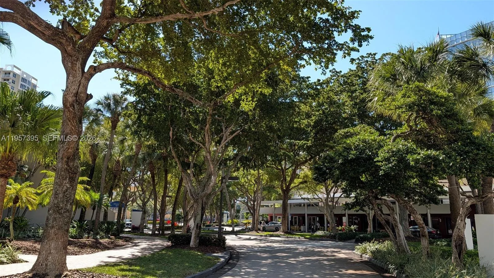 Restaurants and Business across the Brickell Key One