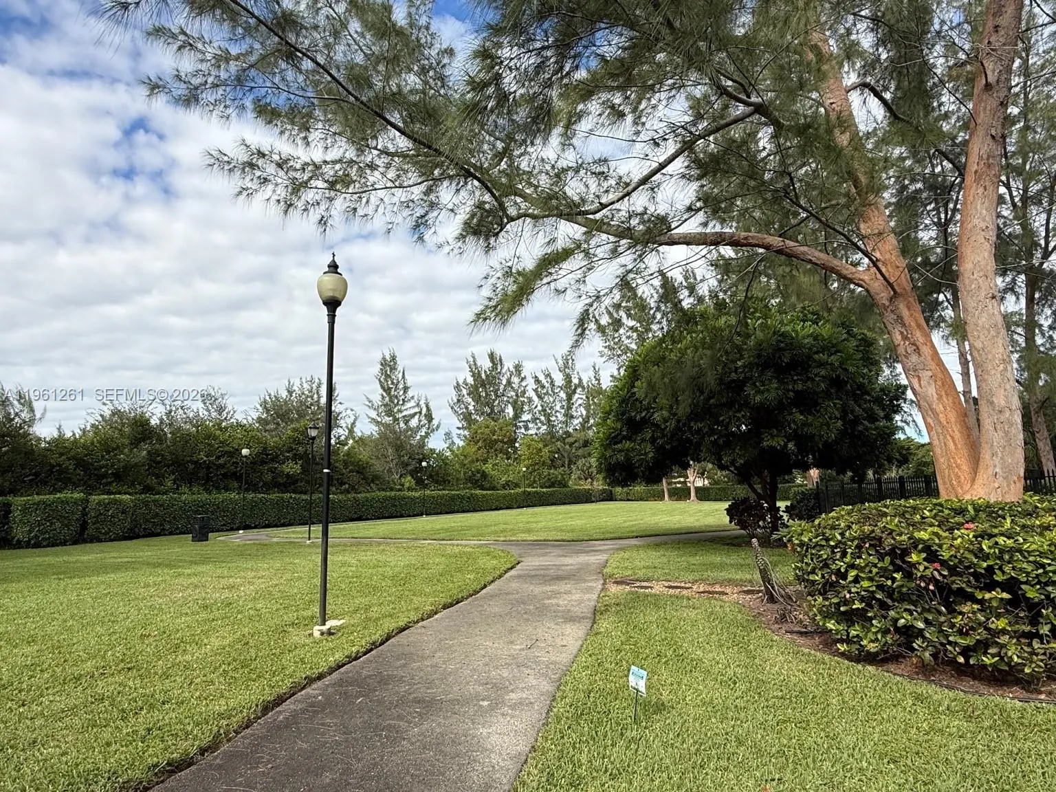 Jogging​​‌​​​​‌​​‌‌​‌‌​​​‌‌​‌​‌​‌​​​‌​​ area